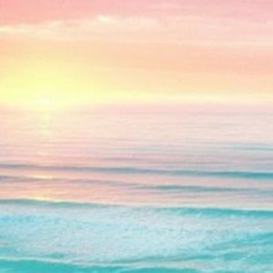 Meet your Posher, Payton